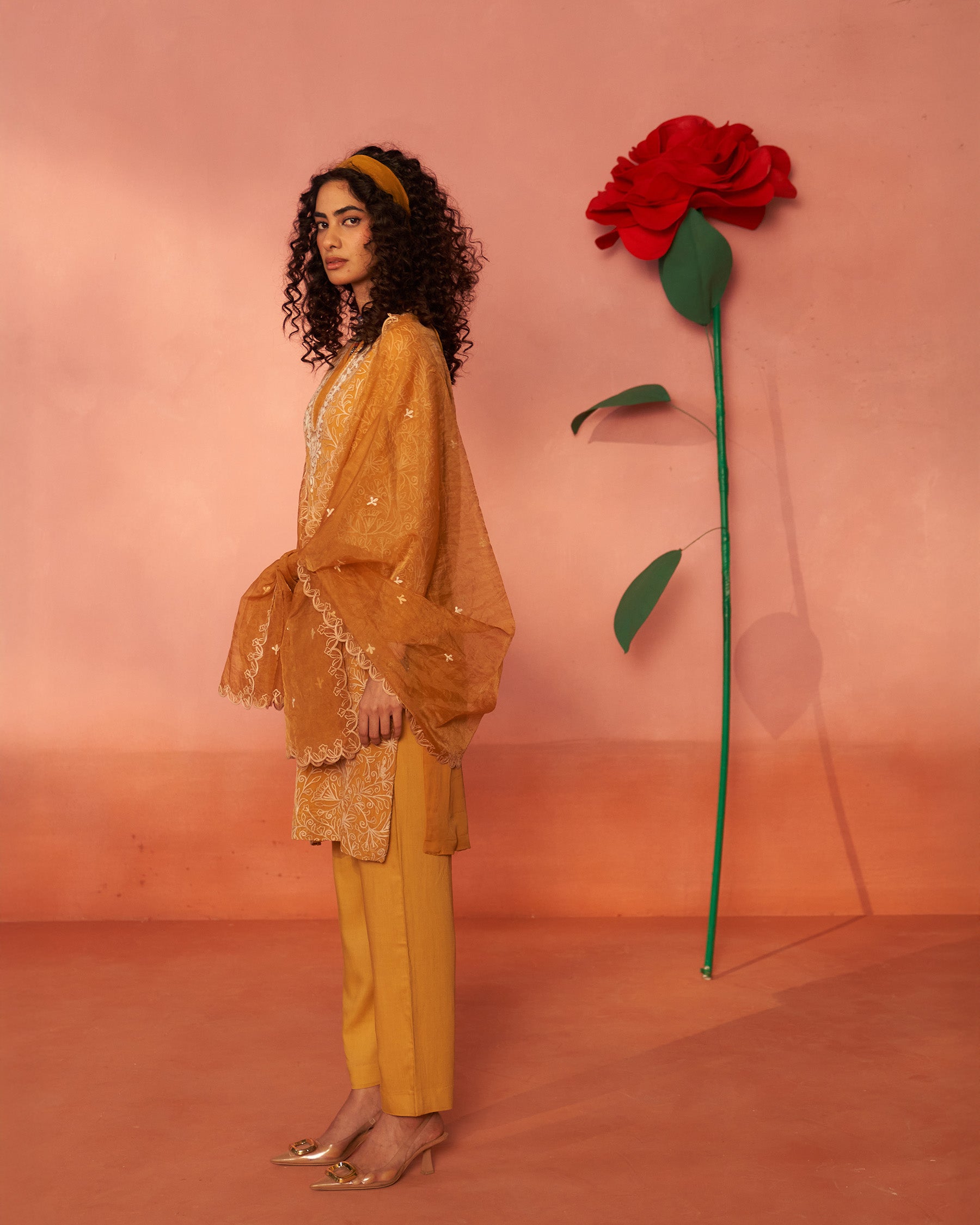 Pehchaan Organza Kurta Set